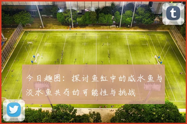 今日趣图：探讨鱼缸中的咸水鱼与淡水鱼共存的可能性与挑战