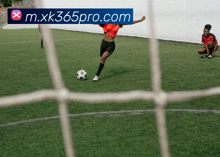 星空体育平台生态图