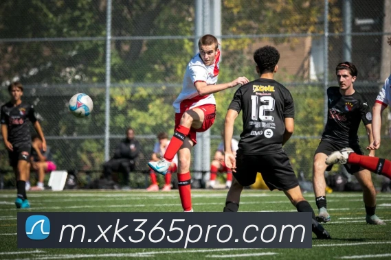 星空体育APP 封面图