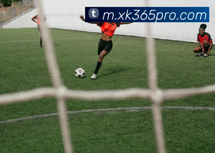 数据防护可视化